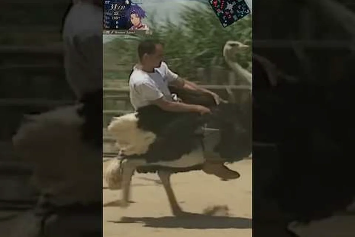 Fire Emblem: Fortune's Weave Nintendo Musik und OST